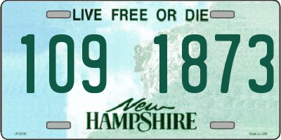 NH license plate 1091873