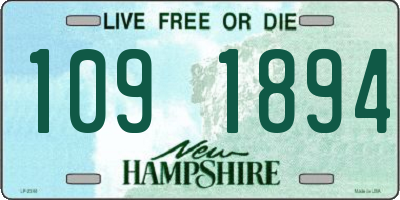 NH license plate 1091894