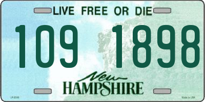 NH license plate 1091898