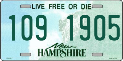 NH license plate 1091905