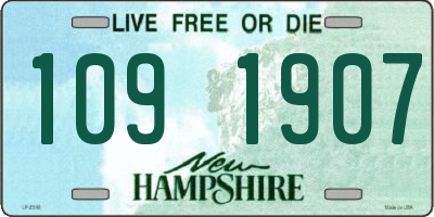 NH license plate 1091907