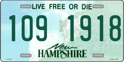 NH license plate 1091918