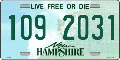 NH license plate 1092031