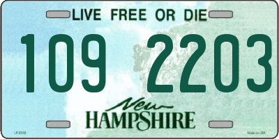 NH license plate 1092203
