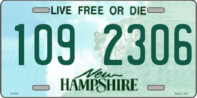 NH license plate 1092306