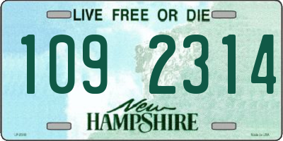NH license plate 1092314