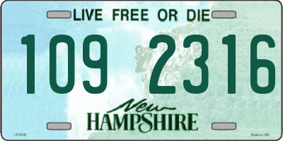 NH license plate 1092316