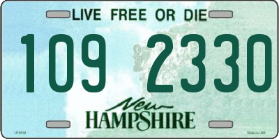 NH license plate 1092330