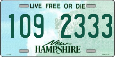 NH license plate 1092333