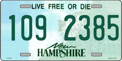 NH license plate 1092385