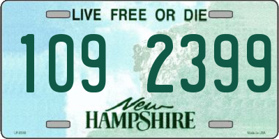 NH license plate 1092399