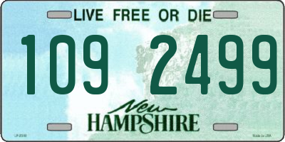 NH license plate 1092499