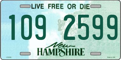 NH license plate 1092599
