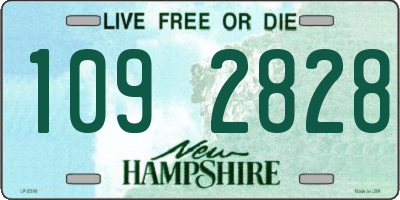 NH license plate 1092828