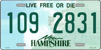 NH license plate 1092831