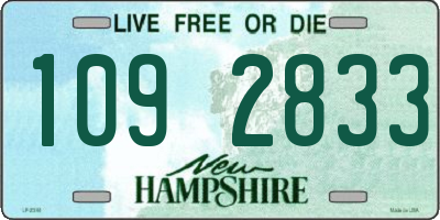 NH license plate 1092833