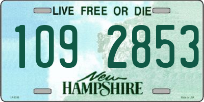NH license plate 1092853
