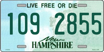NH license plate 1092855