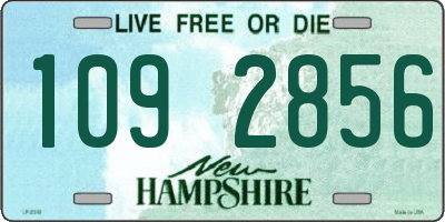 NH license plate 1092856