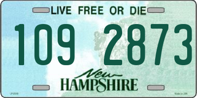 NH license plate 1092873