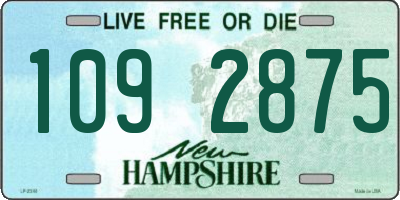 NH license plate 1092875