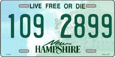 NH license plate 1092899