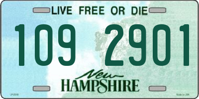 NH license plate 1092901