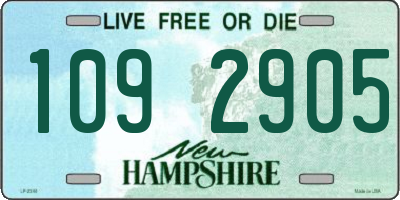 NH license plate 1092905