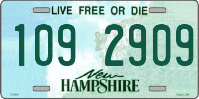 NH license plate 1092909
