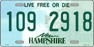 NH license plate 1092918