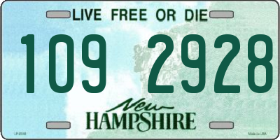 NH license plate 1092928