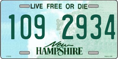 NH license plate 1092934