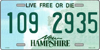 NH license plate 1092935