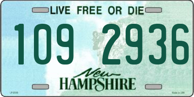 NH license plate 1092936