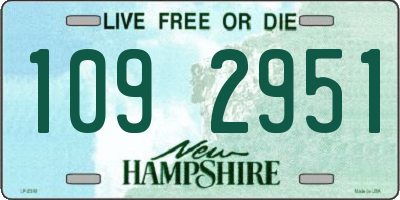 NH license plate 1092951