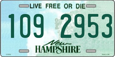 NH license plate 1092953