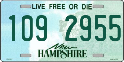 NH license plate 1092955