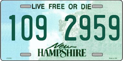 NH license plate 1092959