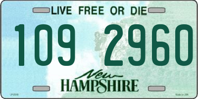 NH license plate 1092960