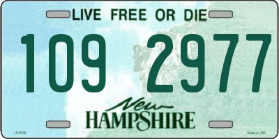 NH license plate 1092977