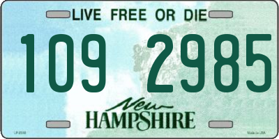 NH license plate 1092985