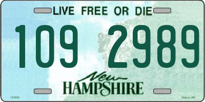 NH license plate 1092989