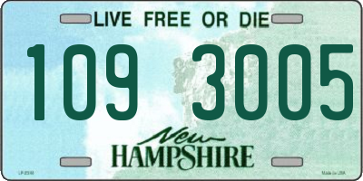 NH license plate 1093005