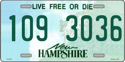 NH license plate 1093036