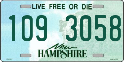 NH license plate 1093058