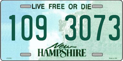 NH license plate 1093073
