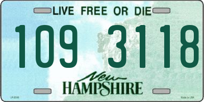 NH license plate 1093118