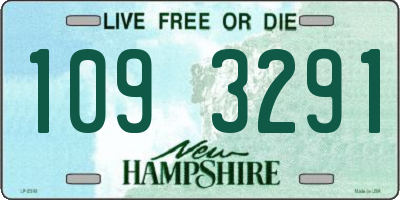 NH license plate 1093291