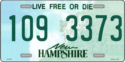 NH license plate 1093373