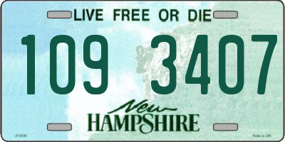 NH license plate 1093407